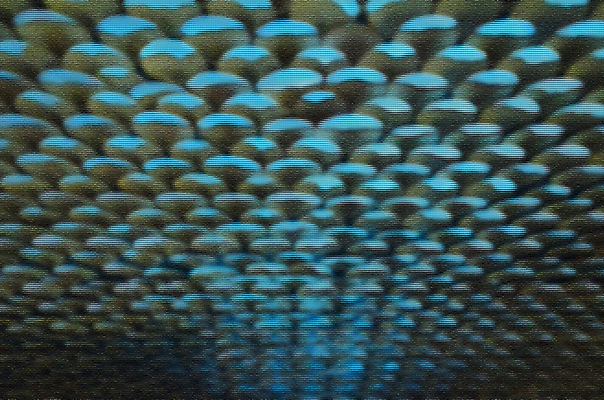 포토 JPG 해외이미지 디자인 분홍색 백그라운드 컨셉 무지개 패턴 벽지 추상 수채화 미술 사람없음 그래픽 장식 초록색 여름 파란색 컬러풀 디지털 검은색 페인트 봄 팔레트 떨어짐 엘리먼트 스타일 해외202004 해외포토 자연요소 계절 컬러 무늬 문화예술 파일형식 이미지허브