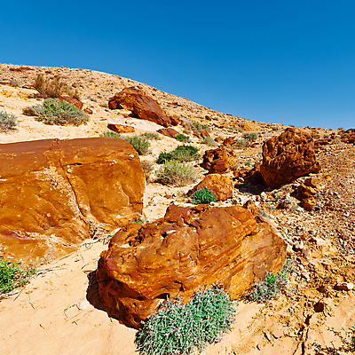 포토 JPG 해외이미지 도로 모래 여행 자연 하늘 산 건조 풍경 사람없음 야외 여름 파란색 햇빛 골짜기 사막 바위 시골 뜨거움 황무지 중앙 위험 그늘 땅 지중해 언덕 화산 정사각형 먼지 신성 지역 분화구 가뭄 동쪽 땅바닥 생태학 이스라엘 팔레스타인 해외202004 해외포토 도형 계절 교육 길 바다 컬러 컨셉 중동 교통시설 날씨 바닥 태양 돌_바위 방향 생태계 서아시아 파일형식 이미지허브