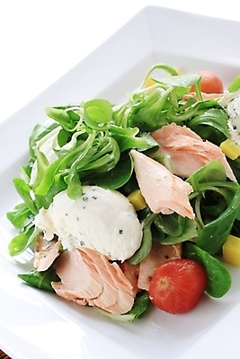 포토 JPG 해외이미지 그릇 접시 다이어트 탁자 건강 사람없음 빛 식사 저녁식사 샐러드 뜨거움 사발 연어 훈제 스코틀랜드 해외202004 해외포토 식기 음식 가구 영국 어류 사기그릇 파일형식 이미지허브