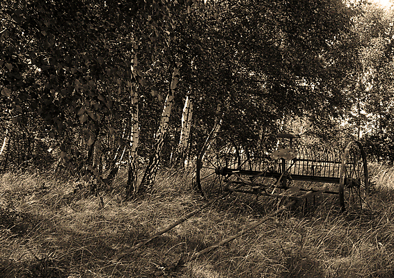 포토 JPG 해외이미지 나무 구름 계절 전통문화 밭 농업 하늘 그림자 옥수수 풍경 사람없음 초록색 여름 파란색 빛 농장 봄 줄무늬 가을 농촌 구멍 연결 작음 땅 심플 조경 일렬 시에나 평야 호밀 수평선 해외202004 해외포토 자연요소 식물 전통 산업 문화 컬러 무늬 자연 곡류 시골 크기 파일형식 이미지허브