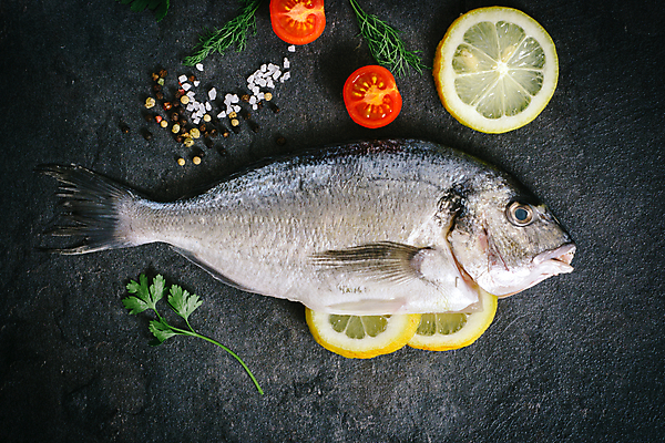 포토 JPG 해외이미지 접시 음식 바다 백그라운드 재료 자연 낚시 선반 건강 어류 사람없음 머리 우주 식사 공백 회색 신선 그물 은색 지중해 해산물 메뉴 꼬리 날것 도미 대서양 내추럴 깊이 생식 해외202004 해외포토 식기 컬러 가구 레저 신체부위 수중동물 생태계 파일형식 이미지허브