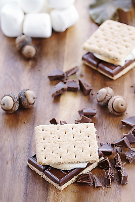 포토 JPG 해외이미지 사람없음 크래커 초콜릿 도토리 마시멜로우 부스러기 스모어 해외202309 해외포토 음식 디저트 쿠키 견과류 파일형식 이미지허브