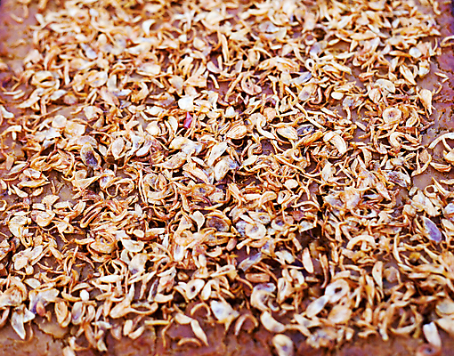 포토 JPG 해외이미지 전통 아시아 문화 음식 일러스트 태국 양파 디저트 건강 요리 동양인 사람없음 갈색 노란색 케이크 우유 흰색 신선 황금 달콤 맛 설탕 크림 코코넛 푸딩 커스터드 스타일 해외202004 해외포토 나라 컬러 컨셉 채소 과일 유제품 인종 파일형식 이미지허브