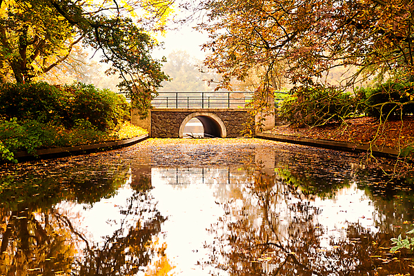포토 JPG 해외이미지 나무 계절 공원 호수 잎 오렌지 자연 표면 풍경 사람없음 야외 물 강 반사 노란색 정원 가을 바위 숲 네덜란드 옛날 해외202004 해외포토 자연요소 식물 공공시설 유럽 컬러 과일 돌_바위 생태계 파일형식 이미지허브