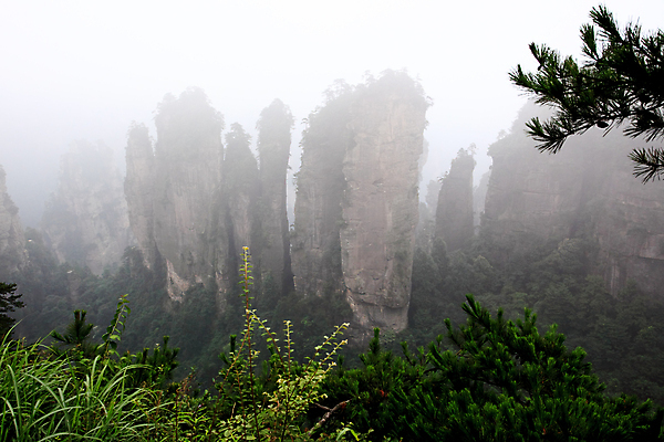 포토 JPG 해외이미지 나무 공원 자연 산 풍경 사람없음 세계 계곡 중국 기둥 도시 재산 숲 심볼 내추럴 뿌연 옛날 전국 해외202004 해외포토 식물 공공시설 건축 아시아 금융 생태계 파일형식 이미지허브