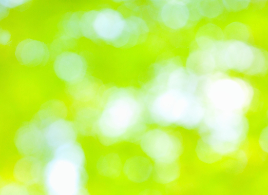 포토 JPG 해외이미지 사람없음 초록색 소프트포커스 보케 빛망울 블러 블러효과 보케백그라운드 해외202004 해외포토 컬러 백그라운드 촬영기법 빛 파일형식 효과 이미지허브