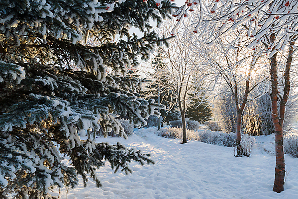포토 JPG 해외이미지 나무 계절 공원 도로 길 선 여행 백그라운드 크리스마스 겨울 밭 자연 하늘 날씨 풍경 사람없음 파란색 태양 냉동 얼음 검은색 추위 안개 흰색 나뭇가지 시골 소나무 고속도로 숲 그늘 오솔길 서리 러시아 트랙 장면 눈보라 방법 뿌연 줄서기 눈내림 해외202004 해외포토 자연요소 식물 공공시설 기념일 유럽 컬러 농업 교통시설 모션 눈_날씨 생태계 파일형식 이미지허브