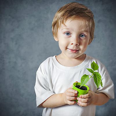 포토 JPG 해외이미지 식물 백인 1 남자 꽃 행복 아들 얼굴 어린이 남학생 교실 자연 사랑 한명 사람 소년 초록색 새싹 환경 유치원 흰색 자녀 작음 발사 유기농 걸음마 남동생 돌봄 생태학 해외202004 해외포토 서양인 학생 웰빙 교육 감정 컬러 학교 가족 모션 신체부위 크기 생태계 동생 파일형식 이미지허브