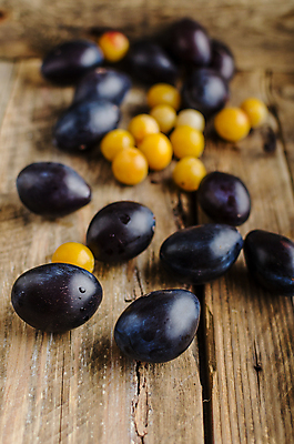 포토 JPG 해외이미지 실내 사람없음 아웃포커스 서양자두 나무배경 해외202004 해외포토 백그라운드 촬영기법 내부 파일형식 이미지허브