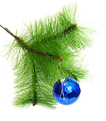 포토 JPG 해외이미지 나무 식물 전통 디자인 계절 백그라운드 크리스마스 겨울 공 유리 휴가 새로움 매달리기 사람없음 장식 빨간색 초록색 파란색 빛 노란색 축제 거품 흰색 나뭇가지 축하 소나무 원형 신용카드 황금 12월 연도 심볼 묘사 오브젝트 전나무 내추럴 고립 해외202004 해외포토 도형 기념일 컬러 컨셉 모션 재질 금융 날짜 파일형식 이미지허브