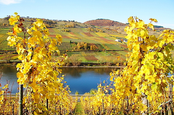 포토 JPG 해외이미지 사람없음 해외202004 해외포토 파일형식 이미지허브