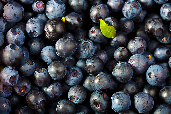 포토 JPG 해외이미지 계절 열매 음식 백그라운드 패턴 다이어트 채소 과일 재료 자연 디저트 건강 식이요법 사람없음 여름 컬러풀 주스 신선 그룹 달콤 맛 유혹 먹기 오브젝트 상쾌 유기농 질감 블루베리 흙더미 숙성 채식주의자 효과 해외202004 해외포토 식물 웰빙 감정 음료 컬러 컨셉 무늬 모션 흙 생태계 채식 파일형식 더미 이미지허브