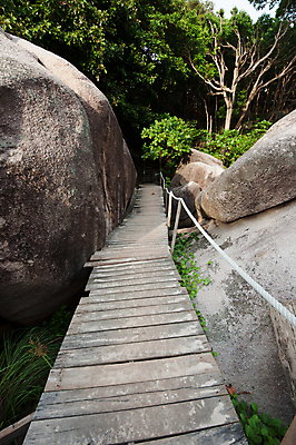 포토 JPG 해외이미지 도로 길 밧줄 자국 산 거리 사람없음 흙 거친 숲 방향 내추럴 방법 해외202004 해외포토 줄 교통시설 파일형식 이미지허브