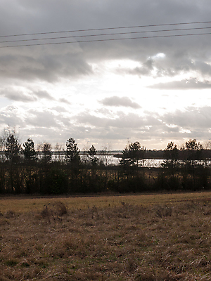 포토 JPG 해외이미지 나무 식물 구름 계절 백그라운드 밭 농업 자연 하늘 아침 날씨 건조 파노라마 풍경 사람없음 야외 여름 햇빛 태양 농장 노란색 일출 환경 어둠 황혼 일몰 새벽 활발 안개 광선 가을 시골 황금 시리얼 언덕 장면 강렬 폭풍우 귀리 해외202004 해외포토 주간 자연요소 산업 음식 컬러 컨셉 곡류 촬영기법 노을 비_날씨 자연재해 생태계 파일형식 이미지허브