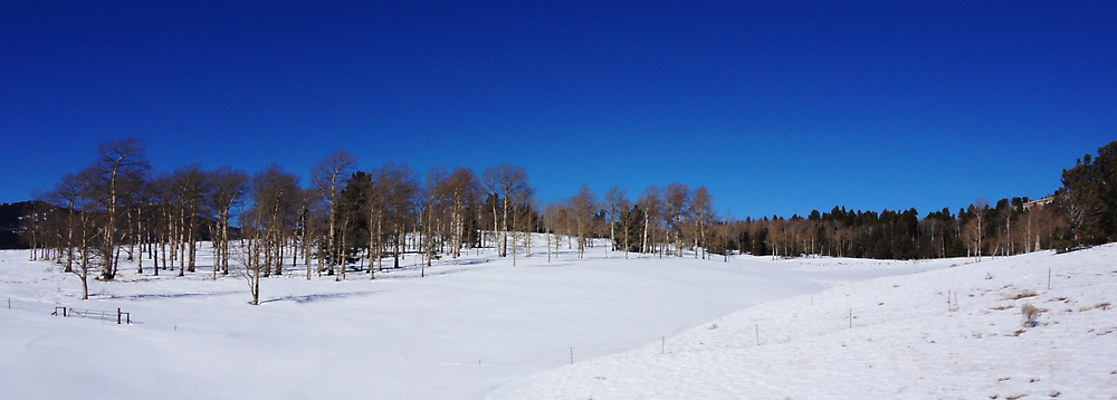 포토 JPG 해외이미지 나무 계절 공원 여행 백그라운드 겨울 자연 하늘 날씨 풍경 사람없음 야외 목재 파란색 컬러풀 태양 환경 냉동 얼음 추위 안개 흰색 나뭇가지 소나무 숲 서리 장면 전나무 내추럴 눈내림 해외202004 해외포토 자연요소 식물 공공시설 컬러 재료 눈_날씨 생태계 파일형식 이미지허브