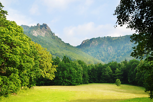 포토 JPG 해외이미지 나무 식물 구름 계절 공원 꽃 백그라운드 잎 꽃무늬 밭 자연 벽지 하늘 날씨 풍경 잔디 사람없음 야외 초록색 여름 파란색 햇빛 농장 노란색 환경 맑음 봄 자유 벚꽃 흰색 시골 신선 숲 땅 언덕 장면 내추럴 해외202004 해외포토 자연요소 공공시설 컬러 컨셉 무늬 농업 태양 생태계 파일형식 이미지허브