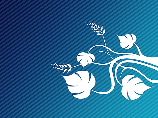 포토 JPG 해외이미지 식물 디자인 꽃 실루엣 선 줄기 꽃다발 백그라운드 잎 꽃무늬 패턴 곡선 일러스트 자연 추상 미술 사람없음 그래픽 장식 파란색 페인트 봄 흰색 화려 우아함 두루마리 그림 엽서 엘리먼트 터키석 해외202004 해외일러스트 계절 컬러 컨셉 무늬 문화예술 촬영기법 보석 편지 생태계 파일형식 이미지허브