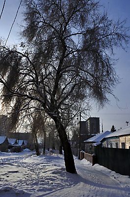 포토 JPG 해외이미지 나무 식물 계절 공원 백그라운드 크리스마스 겨울 자연 하늘 날씨 휴가 풍경 사람없음 야외 파란색 빛 햇빛 태양 일출 환경 맑음 얼음 일몰 새벽 추위 덮개 가을 흰색 나뭇가지 시골 숲 시원함 서리 폭풍 반대 내추럴 깊이 눈내림 해외202004 해외포토 자연요소 공공시설 기념일 컬러 눈_날씨 노을 뚜껑 생태계 파일형식 이미지허브