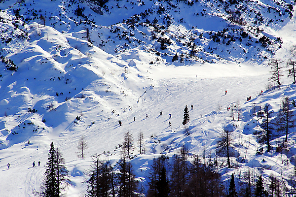 포토 JPG 해외이미지 나무 계절 여행 백그라운드 겨울 자연 하늘 휴가 스키 산 파노라마 풍경 사람없음 야외 목재 파란색 빛 햇빛 냉동 얼음 침묵 추위 흰색 숲 휴양지 서리 알프스 장면 절정 폭설 눈내림 해외202004 해외포토 자연요소 식물 유럽 컬러 재료 겨울스포츠 눈_날씨 촬영기법 태양 소리 장소 자연재해 생태계 파일형식 이미지허브