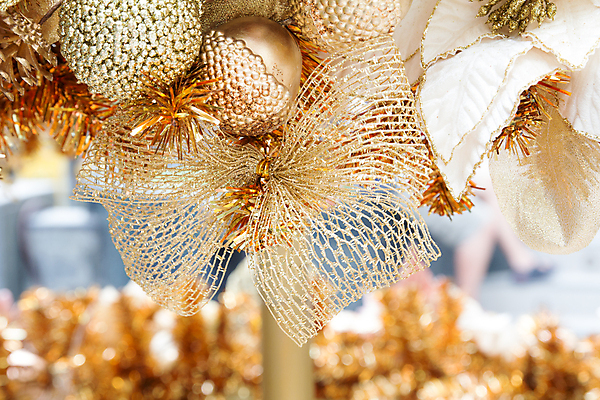 포토 JPG 해외이미지 나무 1 디자인 행복 별 백그라운드 컨셉 크리스마스 겨울 공 휴가 전등 사람없음 목재 장식 빨간색 초록색 우주 기쁨 종 나뭇가지 신용카드 황금 소프트포커스 심볼 오브젝트 정사각형 전나무 블러 엘리먼트 핸드메이드 해외202004 해외포토 자연요소 도형 식물 계절 기념일 감정 컬러 재료 조명 촬영기법 금융 파일형식 이미지허브