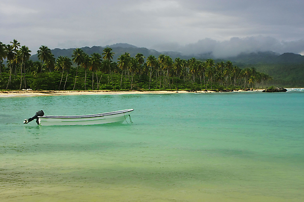 포토 JPG 해외이미지 나무 모래 파도 바다 섬 여행 자연 하늘 손바닥 풍경 사람없음 야외 물 여름 파란색 모래사장 기댐 만 보트 산호 떨어짐 암초 코코넛 대서양 석호 공화국 이국적 터키석 파라다이스 해외202004 해외포토 자연요소 식물 손 계절 나라 컬러 컨셉 배_교통 과일 모션 자포동물 보석 생태계 파일형식 이미지허브