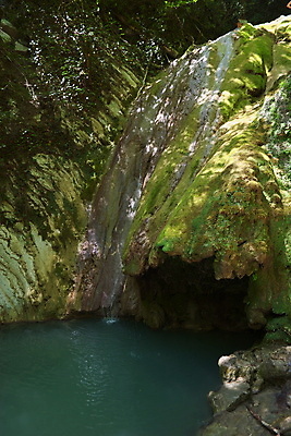 포토 JPG 해외이미지 공원 여행 잎 모션 자연 산 이끼 풍경 사람없음 야외 초록색 물 여름 강 환경 봄 폭포 흐름 바위 신선 개울 떨어짐 소프트포커스 숲 속도 상쾌 장면 해외202004 해외포토 자연요소 식물 계절 공공시설 감정 컬러 컨셉 촬영기법 돌_바위 생태계 파일형식 이미지허브