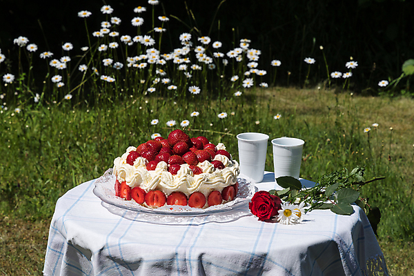 포토 JPG 해외이미지 전통 열매 꽃 커피 음료 음식 과일 탁자 딸기 디저트 사람없음 야외 장식 컵 빨간색 초록색 여름 케이크 정원 맑음 빵집 흰색 축하 신선 생일 달콤 맛 굽기 크림 데이지 타르트 페스츄리 핸드메이드 해외202004 해외포토 식물 식기 계절 기념일 빵 컬러 가구 컨셉 날씨 상점 구이 파이_빵 파일형식 이미지허브