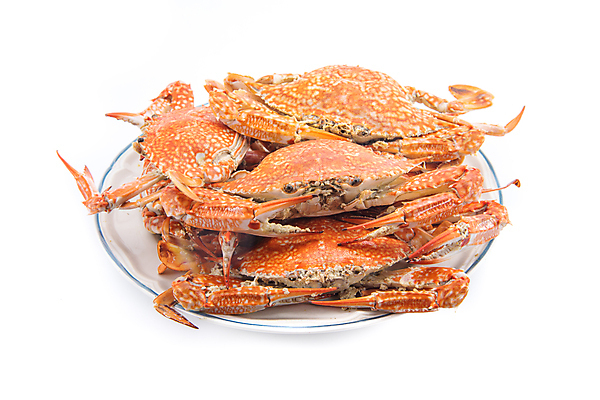 포토 JPG 해외이미지 음식 백그라운드 자연 육류 어류 요리 사람없음 빨간색 식당 식사 저녁식사 게 껍질 흰색 신선 만 뜨거움 해산물 점심식사 고립 집게발 해외202004 해외포토 컬러 식재료 갑각류 상점 수중동물 생태계 파일형식 이미지허브