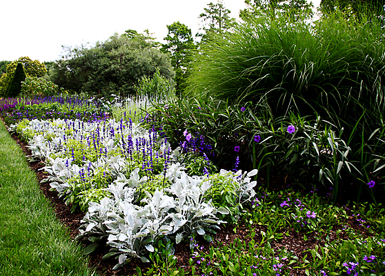 포토 JPG 해외이미지 공원 꽃 자연 하늘 풍경 잔디 사람없음 야외 초록색 파란색 평화 정원 흐름 우아함 땅 쇼핑몰 조경 정중 해외202004 해외포토 식물 공공시설 컬러 컨셉 생태계 파일형식 이미지허브