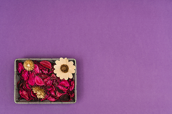 포토 JPG 해외이미지 식물 디자인 기념일 꽃잎 꽃 분홍색 꽃다발 결혼 백그라운드 잎 꽃무늬 패턴 자연 벽지 탁자 프레임 건조 사랑 사람없음 장식 여름 장미 유행 정원 봄 수확 가을 시골 신용카드 그룹 배열 책상 흰배경 엽서 머리위 고립 구성 목업 카피스페이스 해외202004 해외포토 계절 감정 컬러 가구 무늬 농업 이벤트 금융 공백 흰색 편지 생태계 파일형식 이미지허브