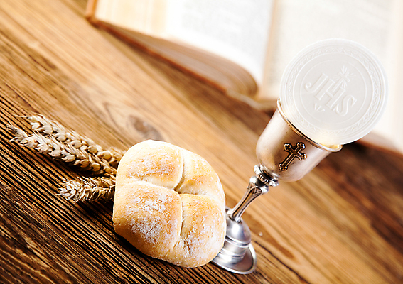 포토 JPG 해외이미지 기독교 종교 빵 십자가 옥수수 사람없음 책 교회 과자 믿음 성경 저녁식사 천주교 기도 예수 목사 확인 증거 신성 묵주 덩어리 설교 복음 성배 성찬식 성체 숭배 신앙심 해외202004 해외포토 감정 음식 종교용품 종교건축 디저트 곡류 건물 식사 신_종교 성직자 파일형식 이미지허브