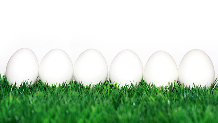 포토 JPG 해외이미지 전통 디자인 계절 꽃 행복 기독교 종교 음식 백그라운드 패턴 자연 휴가 부활절 창조 선물 사람없음 장식 초록색 컬러풀 계란 치킨 페인트 놀람 봄 흰색 축하 토끼 둥지 4월 심볼 고립 바이오 암탉 해외202004 해외포토 식물 기념일 감정 컬러 컨셉 무늬 포유류 표정 반려동물 알 닭 날짜 암컷 생태계 닭고기요리 파일형식 이미지허브