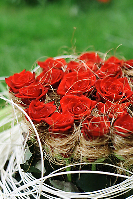 포토 JPG 해외이미지 식물 꽃 꽃다발 백그라운드 자연 벽지 미술 사람없음 장식 빨간색 초록색 장미 정원 봄 벚꽃 흰색 신선 우아함 꽃집 정리 내추럴 해외202004 해외포토 계절 컬러 컨셉 문화예술 상점 생태계 파일형식 이미지허브