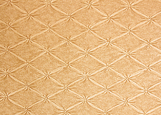 포토 JPG 해외이미지 식물 템플릿 디자인 종이 벽 백그라운드 잎 꽃무늬 패턴 곡선 일러스트 벽지 미술 사람없음 장식 세로 카펫 수확 골동품 소용돌이 직물 화려 재산 고급 우아함 실크 질감 베네치아 비네팅 구식 르네상스 바로크 빅토리아 스타일 해외202004 해외일러스트 꽃 선 컨셉 무늬 농업 문화예술 촬영기법 금융 이탈리아 회오리 파일형식 이미지허브