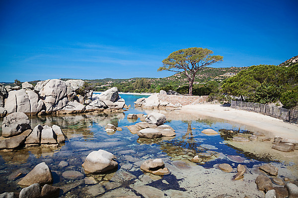 포토 JPG 해외이미지 나무 모래 파도 바다 섬 여행 자연 하늘 휴가 휴식 파노라마 풍경 사람없음 물 여름 파란색 맑음 프랑스 만 지중해 남쪽 내추럴 코르시카 터키석 해외202004 해외포토 자연요소 식물 계절 유럽 컬러 컨셉 날씨 촬영기법 보석 방향 생태계 파일형식 이미지허브