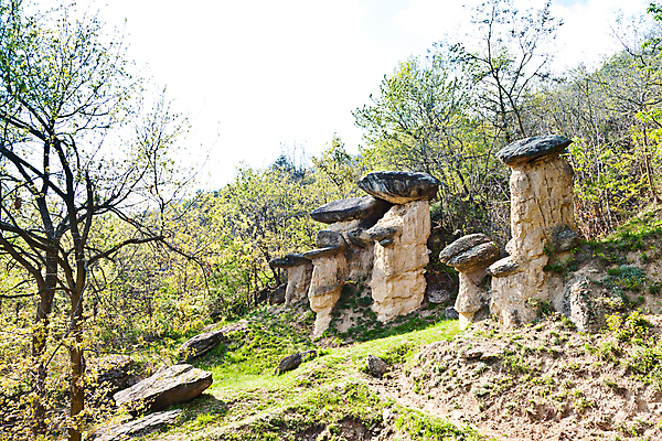 포토 JPG 해외이미지 나무 공원 잎 자연 아침 산 풍경 사람없음 야외 초록색 여름 컬러풀 햇빛 평화 환경 가을 바위 숲 신비 호기심 내추럴 화강암 가문비나무 해외202004 해외포토 주간 식물 계절 공공시설 감정 컬러 컨셉 태양 암석 돌_바위 생태계 파일형식 이미지허브