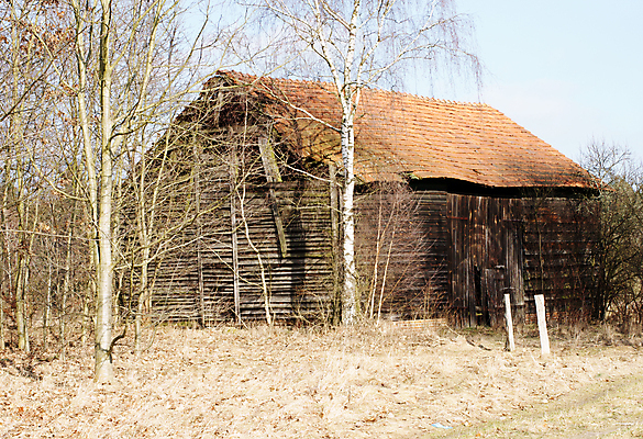 포토 JPG 해외이미지 나무 식물 건축양식 자연 풍경 사람없음 건물 목재 시골 판넬 외양간 깨짐 썩음 해외202004 해외포토 건축물 건축 컨셉 재료 생태계 파일형식 이미지허브