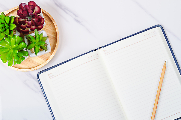 포토 JPG 해외이미지 종이 화초 선 백그라운드 잎 텍스트 문구용품 선인장 팜플렛 사람없음 목재 책 초록색 펜 우주 다이어리 쪽지 공백 수확 골동품 오픈 교과서 대리석 페이지 양장본 시트 원고 해외202004 해외포토 나무 식물 컬러 농업 재료 교재 필기구 사무용품 오브젝트 파일형식 이미지허브