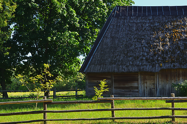포토 JPG 해외이미지 전통 외관 여행 백그라운드 농업 건축양식 자연 날씨 주택 프레임 이야기 풍경 사람없음 야외 건물 목재 초록색 농장 우주 마을 수확 흰색 시골 죽음 역사 숲 버리기 시골집 복고 아일랜드 헛간 고립 옛날 파멸 해외202004 해외포토 나무 건축물 건축 유럽 산업 컬러 컨셉 재료 모션 생태계 저장고 파일형식 소멸 이미지허브