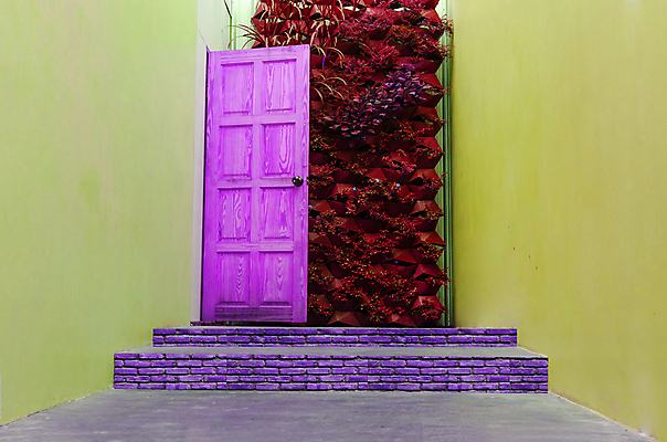 포토 JPG 해외이미지 식물 바다 백그라운드 창문 날씨 벽돌 출입구 주택 자물쇠 사람없음 목재 초록색 갈색 문 금속 정원 페인트 수확 바위 시골 바 고급 덩굴 비밀 입장 질감 포도나무 문고리 아이비 고체 숨기 옛날 정문 해외202004 해외포토 나무 컬러 컨셉 농업 재료 모션 재질 건물 돌_바위 과일나무 파일형식 이미지허브