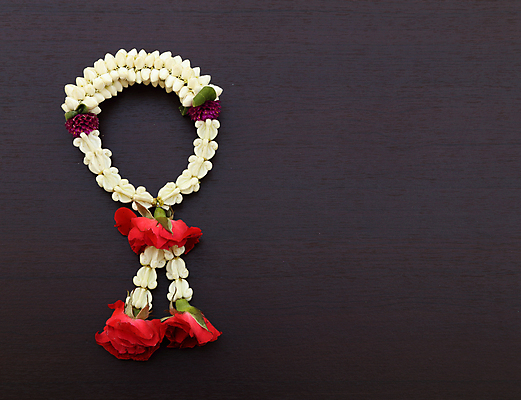 포토 JPG 해외이미지 식물 전통 꽃 아시아 종교 문화 여행 백그라운드 꽃무늬 불교 태국 자연 탁자 동양인 사람없음 목재 장식 빨간색 장미 평화 보라색 화환 공백 흰색 기도 인사 신선 사찰 원형 행운 오브젝트 싱글 방콕 고립 이국적 핸드메이드 스타일 해외202004 해외포토 도형 나무 나라 컬러 가구 컨셉 무늬 재료 종교건축 인종 예절 생태계 파일형식 이미지허브