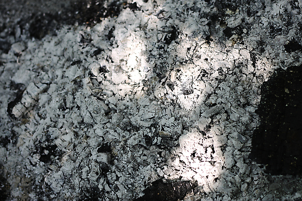 포토 JPG 해외이미지 불꽃 따뜻함 사람없음 야외 여름 빛 소풍 오픈 뜨거움 장작 모닥불 바비큐 굽기 벽난로 숯 연소 석탄 화상 해외202004 해외포토 계절 음식 불 야외활동 상처 구이 파일형식 이미지허브