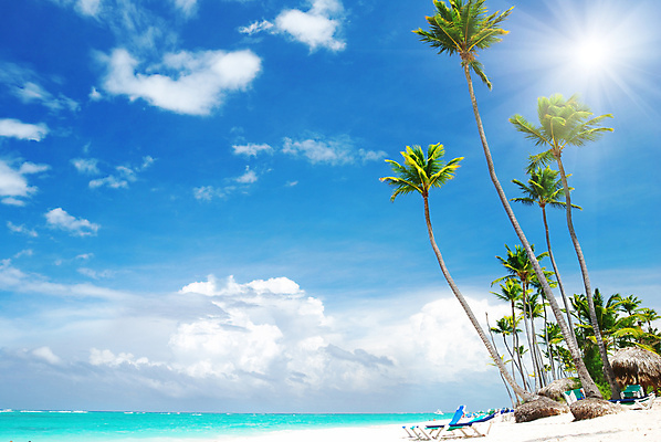 포토 JPG 해외이미지 나무 구름 모래 파도 바다 여행 자연 하늘 휴가 풍경 사람없음 야외 물 여름 햇빛 가장자리 대서양 도미니카공화국 해외202004 해외포토 자연요소 식물 계절 태양 남아메리카 둘레 생태계 파일형식 이미지허브