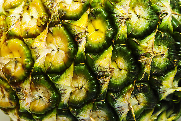 포토 JPG 해외이미지 클립아트 음식 백그라운드 잎 2 농업 다이어트 채소 과일 부분 자연 디저트 귤 건강 사람없음 그래픽 초록색 노란색 식사 주스 흰색 신선 소나무 달콤 맛 자르기 먹기 파인애플 오브젝트 메뉴 유기농 날것 하와이 내추럴 고립 숙성 이국적 채식주의자 해외202004 해외포토 나무 식물 웰빙 산업 음료 컬러 컨셉 모션 미국 열대과일 생태계 채식 파일형식 이미지허브