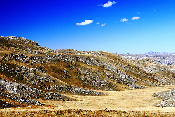 포토 JPG 해외이미지 구름 계절 잎 밭 자연 하늘 산 풍경 사람없음 야외 여름 파란색 컬러풀 갈색 환경 침묵 활발 가을 시골 황무지 큼 고도 언덕 즐거움 그림 장면 내추럴 강렬 마케도니아 생태학 전국 해외202004 해외포토 자연요소 식물 교육 감정 컬러 컨셉 농업 소리 크기 생태계 파일형식 남유럽 이미지허브