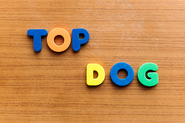 포토 JPG 해외이미지 직업 백그라운드 비즈니스 CEO 사람없음 목재 단어 컬러풀 교수 성경 마법사 교과서 시설 법 법관 찬성 시청 경영 놋쇠 학자 해외202004 해외포토 나무 문자 컬러 재료 종교용품 교재 교사 법률가 관공서 파일형식 이미지허브