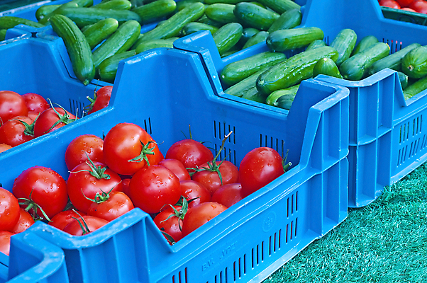 포토 JPG 해외이미지 음식 농업 토마토 채소 과일 재료 오이 건강 요리 사람없음 빨간색 초록색 파란색 상자 주방 이탈리아 수확 신선 시장 수프 채식주의자 제의 해외202004 해외포토 유럽 산업 컬러 채식 파일형식 이미지허브