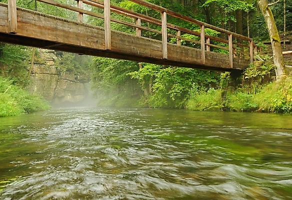 포토 JPG 해외이미지 나무 여행 백그라운드 잎 자연 아침 날씨 산 풍경 사람없음 야외 목재 초록색 물 여름 빛 강 환경 안개 개울 숲 내추럴 해외202004 해외포토 주간 자연요소 식물 계절 컬러 재료 생태계 파일형식 이미지허브