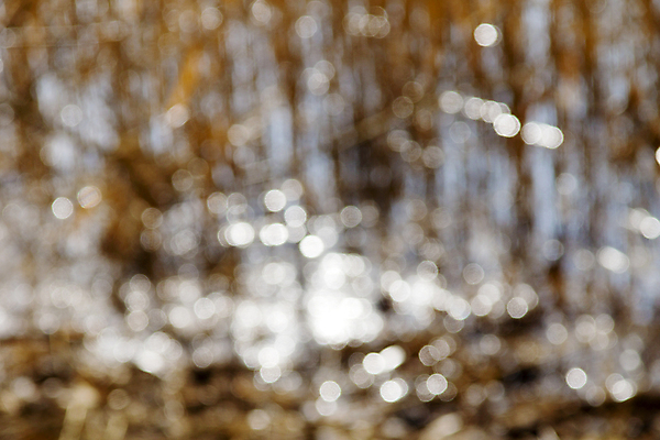 포토 JPG 해외이미지 디자인 백그라운드 패턴 오렌지 촛불 추상 불꽃 조명 그림자 사람없음 빨간색 빛 노란색 에너지 광선 물방울 손전등 원형 빗방울 야광 블러 해외202004 해외포토 도형 컬러 무늬 과일 초 불 비_날씨 파일형식 이미지허브