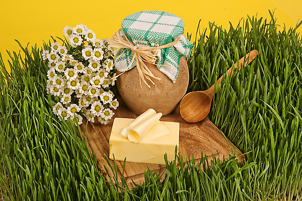 포토 JPG 해외이미지 꽃 음료 음식 백그라운드 자연 탁자 사람없음 목재 초록색 노란색 침묵 우유 수확 시골 항아리 닫기 냄비 상품 순수 책상 복고 옛날 캐모마일 해외202004 해외포토 나무 식물 컬러 가구 컨셉 농업 재료 모션 유제품 소리 도자기 솥 허브 생태계 파일형식 이미지허브